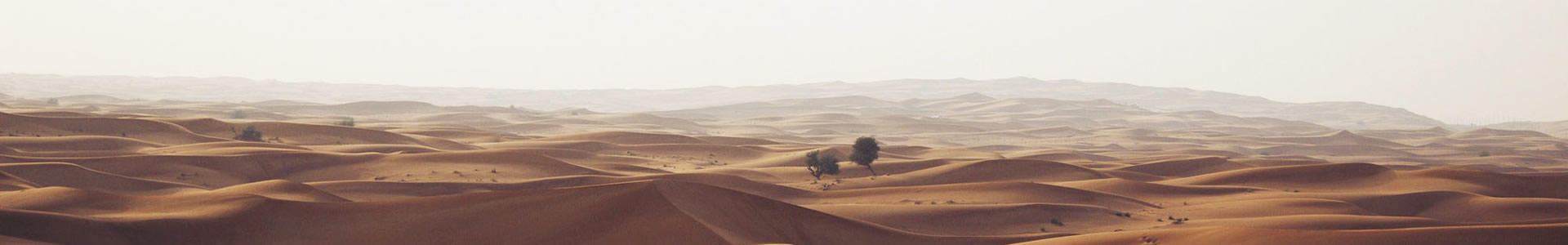 ൺȪظ޹˾